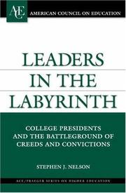 Leaders in the Labyrinth by Stephen J. Nelson