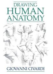 Cover of: Drawing human anatomy