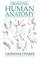 Cover of: Drawing human anatomy