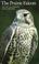 Cover of: The prairie falcon
