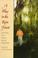 Cover of: A Place in the rain forest