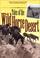 Cover of: Tales of the Wild Horse Desert