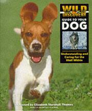 Cover of: Wild Discovery Guide to Your Dog Understanding