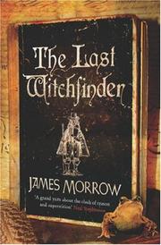 Cover of: The Last Witchfinder by James Morrow