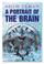 Cover of: Portrait of the Brain