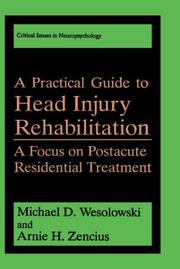 Cover of: A Practical Guide to Head Injury Rehabilitation: A Focus on Postacute Residential Treatment (Critical Issues in Neuropsychology)