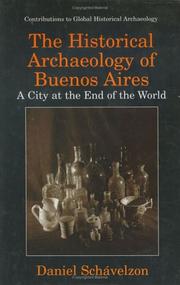 Cover of: The Historical Archaeology of Buenos Aires by Daniel Schávelzon
