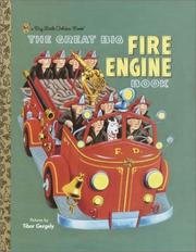 Cover of: The Great Big Fire Engine Book