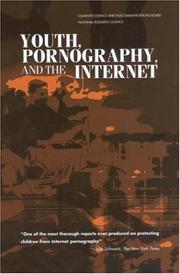 Cover of: Youth, pornography and the Internet | 