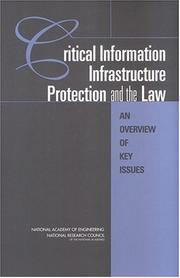 Cover of: Critical information infrastructure protection and the law: an overview of key issues
