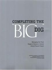 Cover of: Completing the Big Dig: Managing the Final Stages of Boston's Central Artery/Tunnel Project