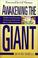 Cover of: Awakening the giant