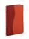 Cover of: NIV Compact Thinline Bible