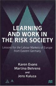 Cover of: Learning and Work in the Risk Society by Evans, Karen, Karen F. Evans, Martina Behrens, Jens Kazula, Karen F. Evans, Martina Behrens, Jens Kazula