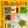 Cover of: First Concepts Large - Numbers