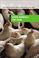 Cover of: Exploring Animal Rights and Animal Welfare