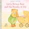 Cover of: Little Brown Bear and the bundle of joy