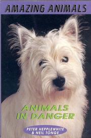 Cover of: Animals in Danger (Amazing Animals)
