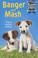 Cover of: Twins (Jenny Dale's Puppy Tales)