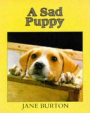 Cover of: A Sad Puppy (Lost & Found)