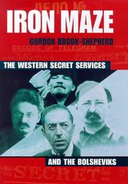 Cover of: Iron Maze the Western Secret Services