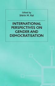 Cover of: International Perspectives on Gender and Democratisation (Women's Studies at York Series (Houndmills, Basingstoke, England).)