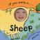 Cover of: If You Were a Sheep