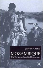 Cover of: Mozambique: the tortuous road to democracy