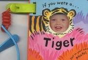 Cover of: If You Were a Tiger (Buggy Buddies)