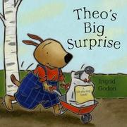 Cover of: Theo and the Big Surprise by Ingrid Godon