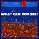 Cover of: What can you see?