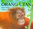 Cover of: Imagine You Are a Orangutan