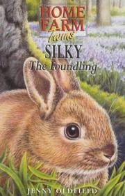 Cover of: Silky the Foundling (Home Farm Twins)