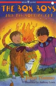 The Box Boys and the Bonfire Cat by Jenny Nimmo