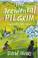 Cover of: The accidental pilgrim