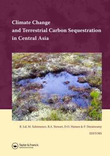 Climate Change and Terrestrial Carbon Sequestration in Central Asia by 