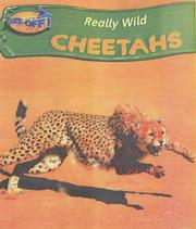 Cover of: Cheetah (Take-off!: Really Wild)