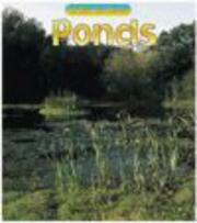 Cover of: Pond (Wild Britain)