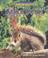 Cover of: Wild Britain