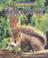 Cover of: Squirrel (Wild Britain)