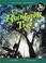 Cover of: Up a Rainforest Tree (Amazing Journeys)