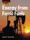 Cover of: Energy from Fossil Fuels (Essential Energy)