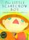 Cover of: The little scarecrow boy