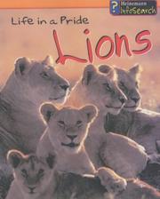 Cover of: Lions Life in a Pride (Animal Groups) by Richard Spilsbury, Louise Spilsbury