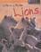 Cover of: Lions Life in a Pride (Animal Groups)
