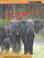 Cover of: Life in a Herd of Elephants (Animal Groups)