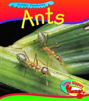 Cover of: Ant (Little Nippers: Creepy Creatures) by Sue Barraclough