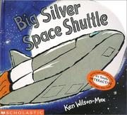 Cover of: Big Silver Space Shuttle