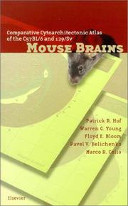 Cover of: Comparative Cytoarchitectonic Atlas of the C57BL/6 and 129/Sv Mouse Brains