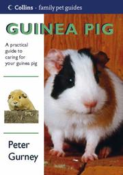 Cover of: Guinea Pig (Collins Famliy Pet Guides)